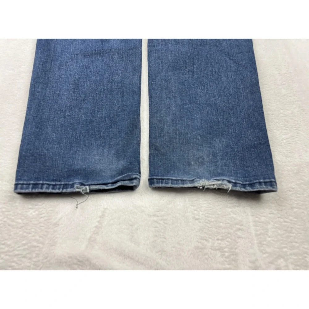 Levis levis 541